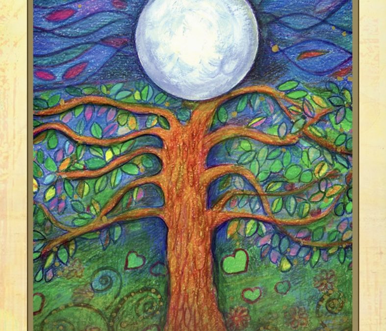 Weekly Card Reading – Enchanted Forest