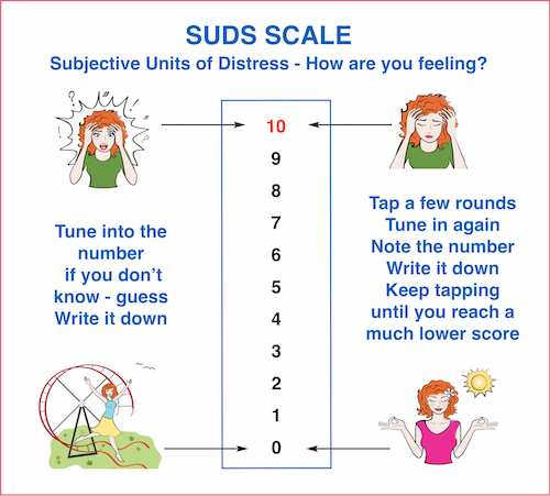 suds scale